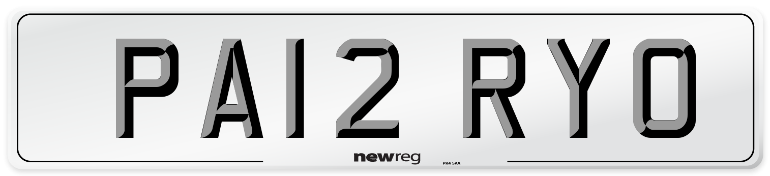PA12 RYO Number Plate from New Reg